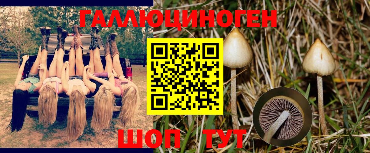 Галлюциногенные грибы Cubensis  Вход с VPN  Мценск 