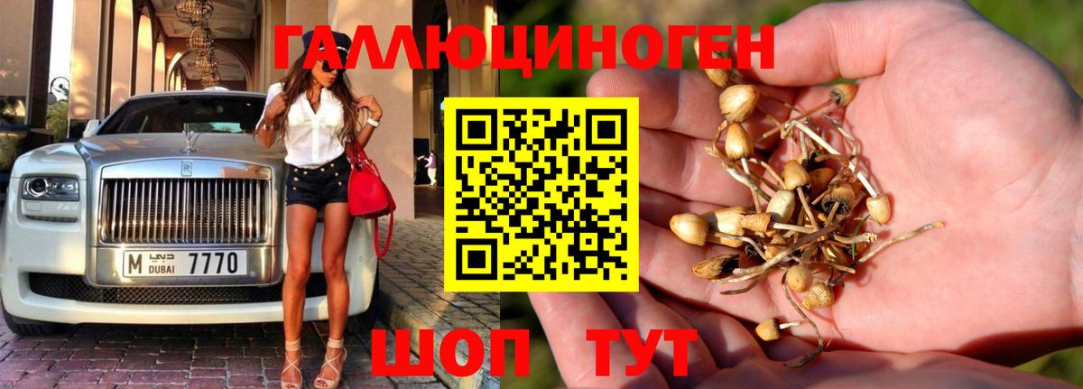 Галлюциногенные грибы мицелий Мценск