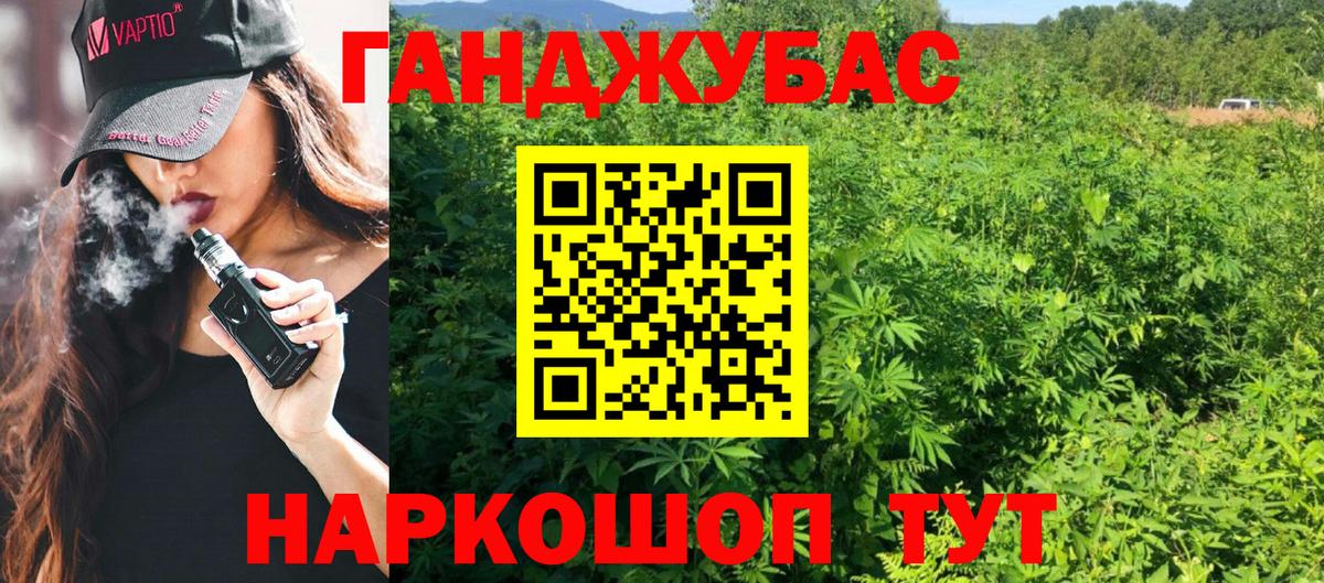 Шишки марихуана план  Вход с VPN  Конопля VHQ  Мценск  Шишки марихуана конопля 